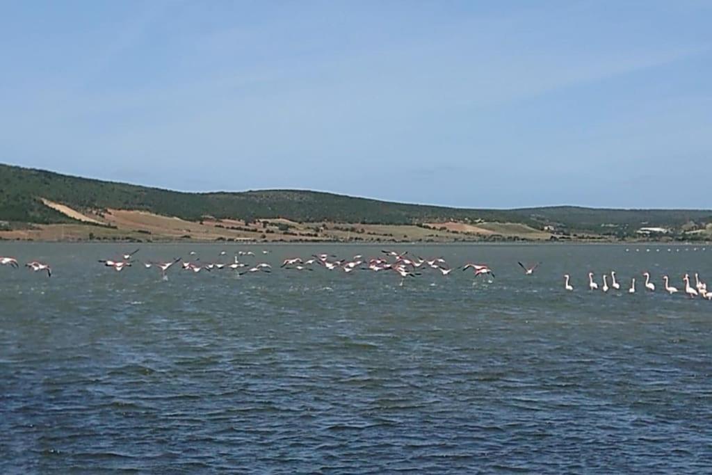 Casa Barbara Sardinia Βίλα Masainas Εξωτερικό φωτογραφία