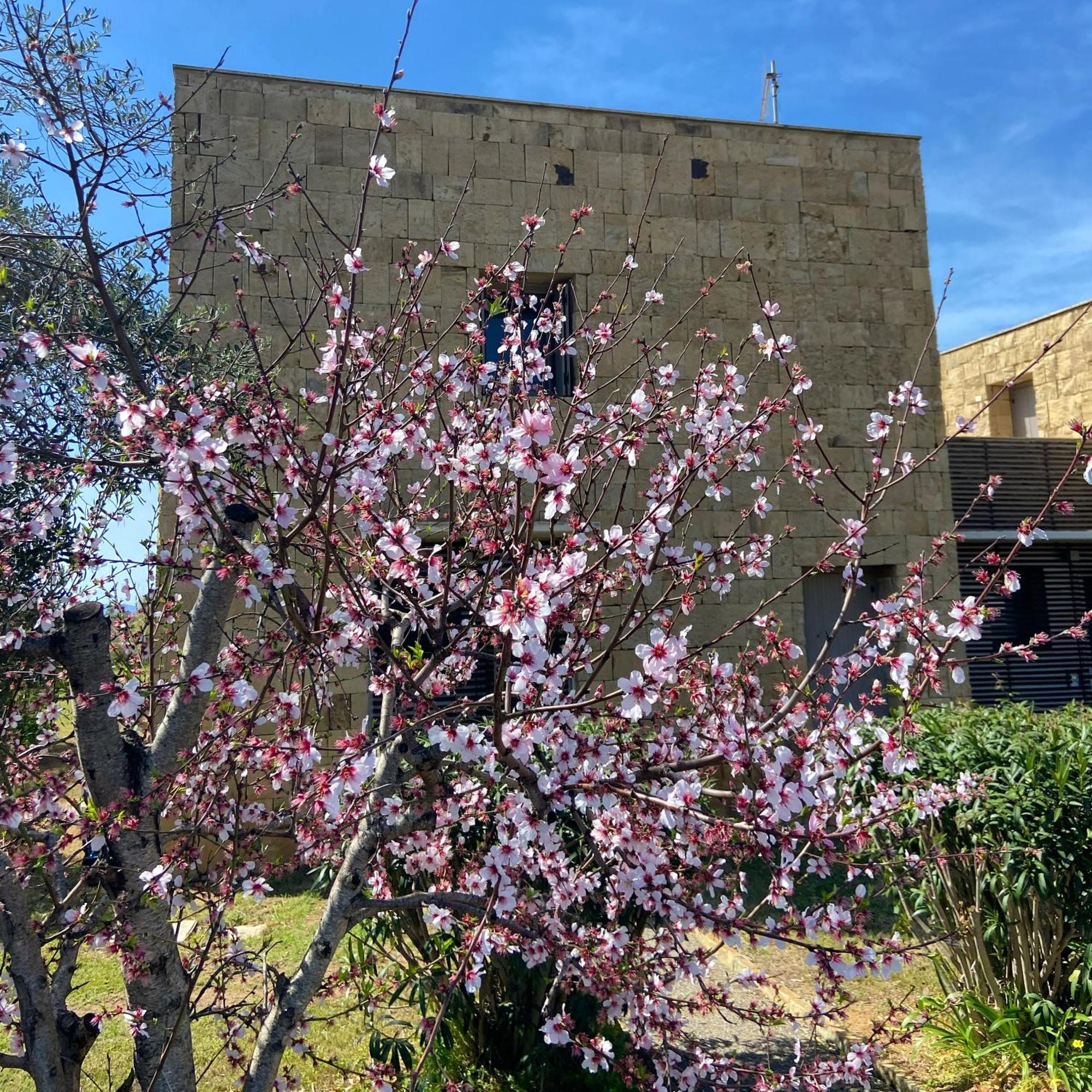 Casa Barbara Sardinia Βίλα Masainas Εξωτερικό φωτογραφία